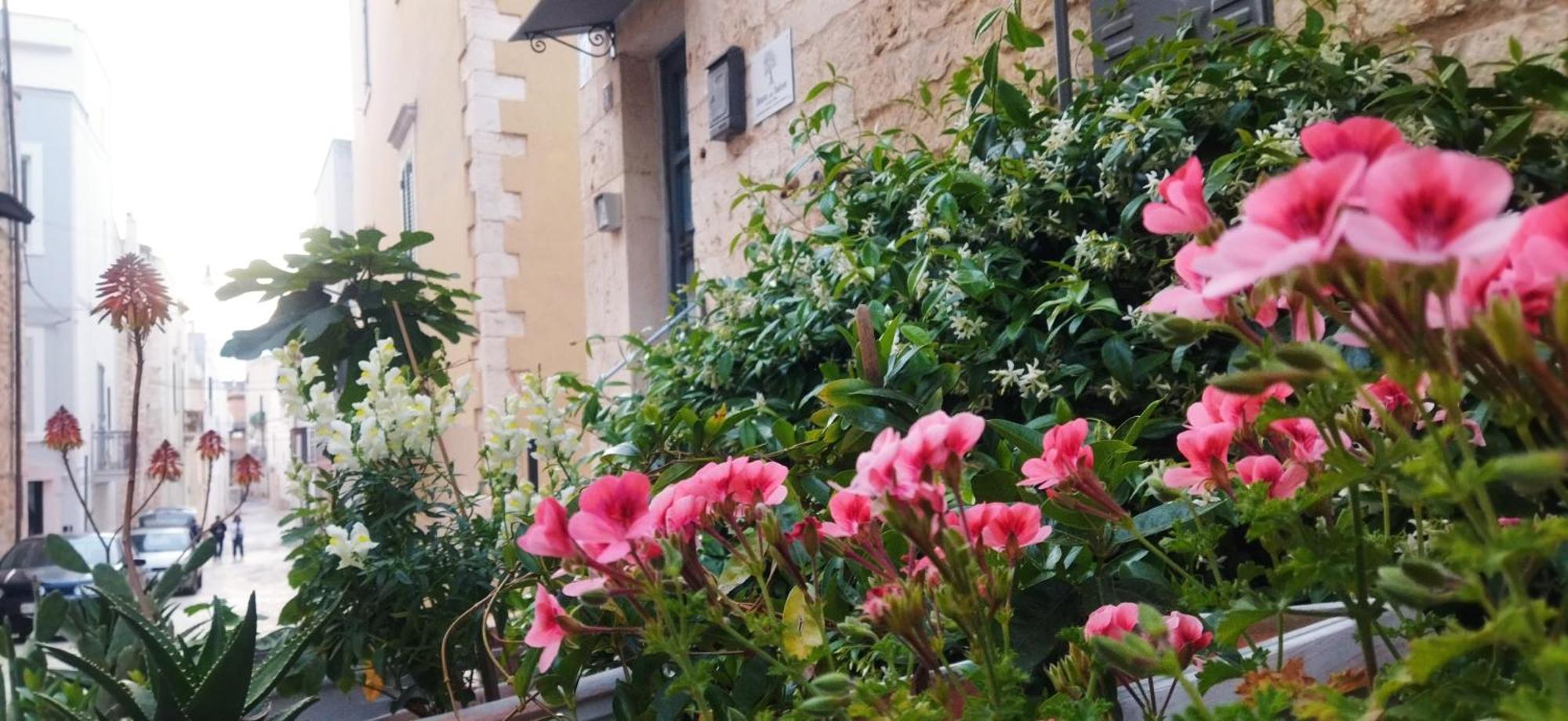 Bed and Breakfast Dimora Delle Badesse Конверсано Екстер'єр фото